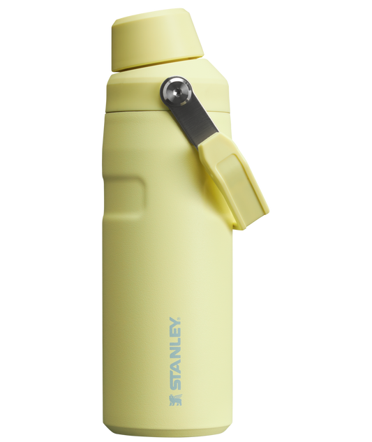 Stanley IceFlow™ Bottle with Fast Flow Lid | 16 OZ
